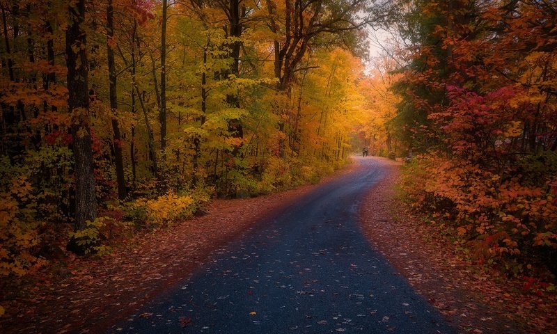 Обои дорога, осень, road, autumn разрешение 2048x1260 Загрузить