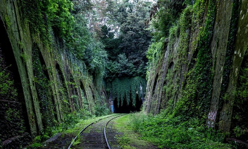 Обои деревья, железная дорога, природа, мох, тоннель, trees, railroad, nature, moss, the tunnel разрешение 3840x2560 Загрузить