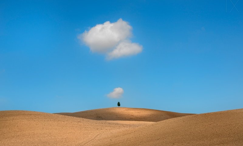 Обои облака, дерево, поле, тоскана, clouds, tree, field, tuscany разрешение 2500x1668 Загрузить