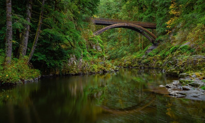 Обои природа, мост, nature, bridge разрешение 3840x2160 Загрузить