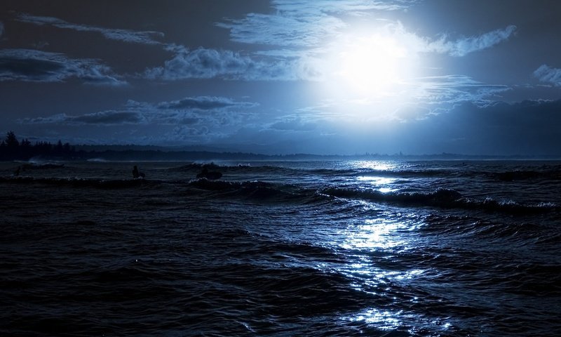 Обои ночь, блики, волны, доски, отражение, серфинг, лучи, море, люди, луна, свечение, night, glare, wave, board, surfing, reflection, rays, sea, people, the moon, glow разрешение 2560x1600 Загрузить