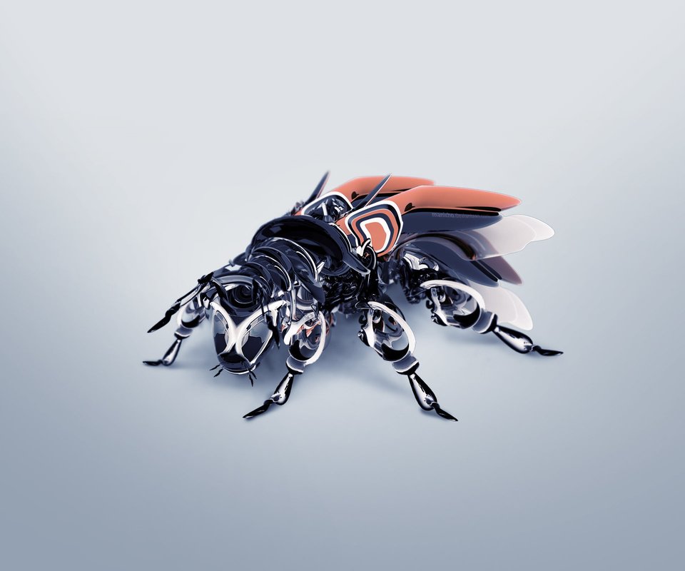 Обои жук, крылья, усики, 3д, beetle, wings, antennae, 3d разрешение 2560x1600 Загрузить