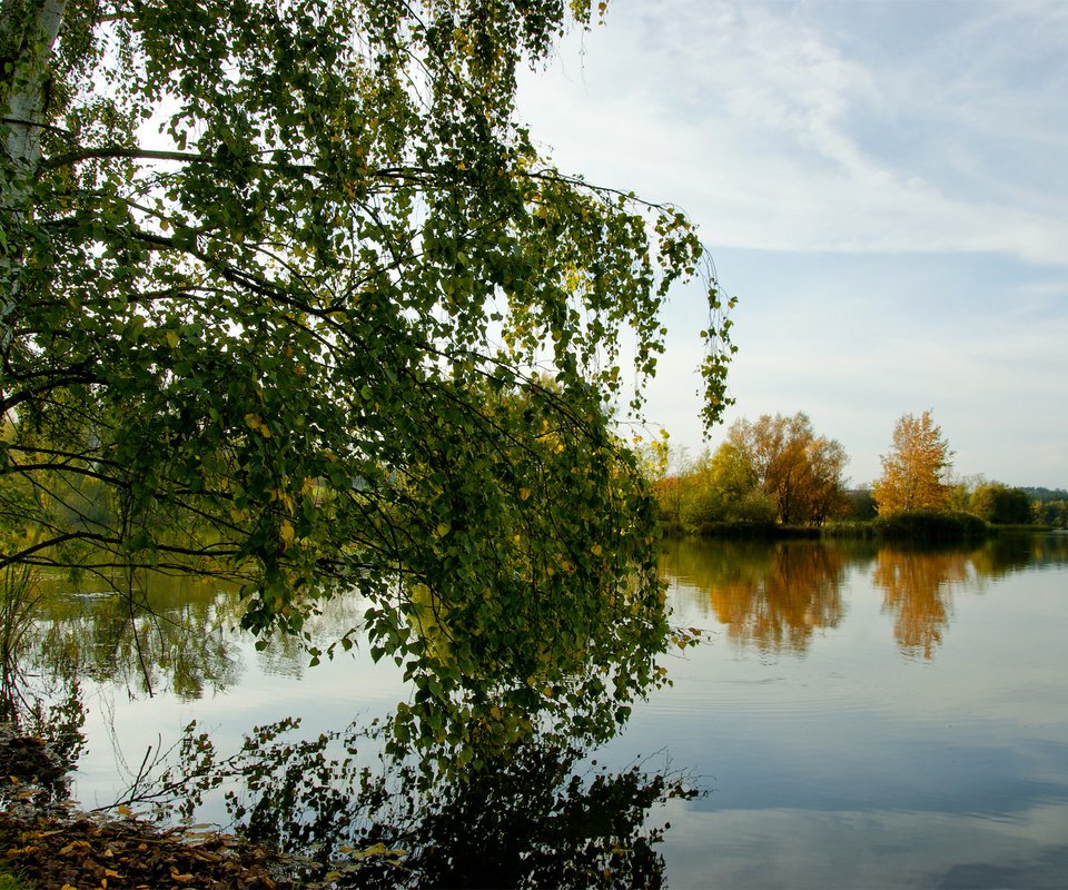 Обои озеро, лес, осень, береза, lake, forest, autumn, birch разрешение 1920x1200 Загрузить