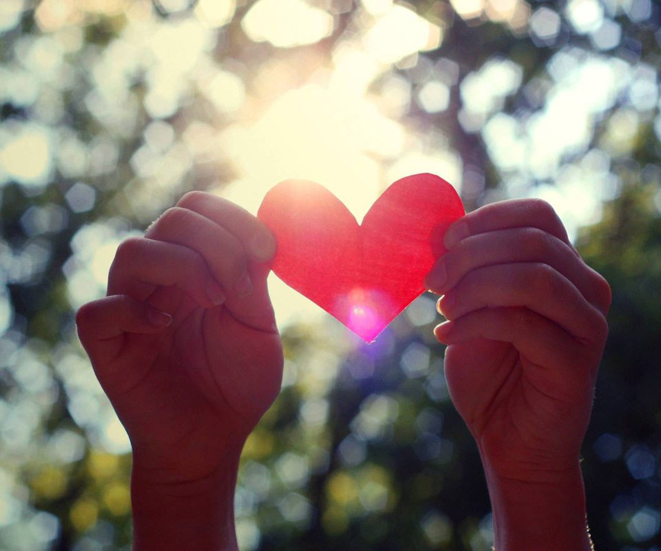 Обои сердце, руки, день святого валентина, валентинка, heart, hands, valentine's day, valentine разрешение 1920x1080 Загрузить