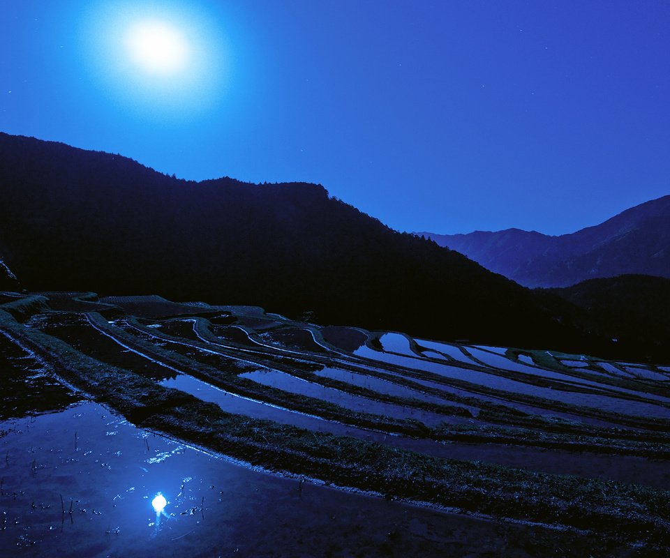 Обои ночь, луна, япония, японии, moon, рисовое поле, night, the moon, japan, rice field разрешение 1920x1080 Загрузить