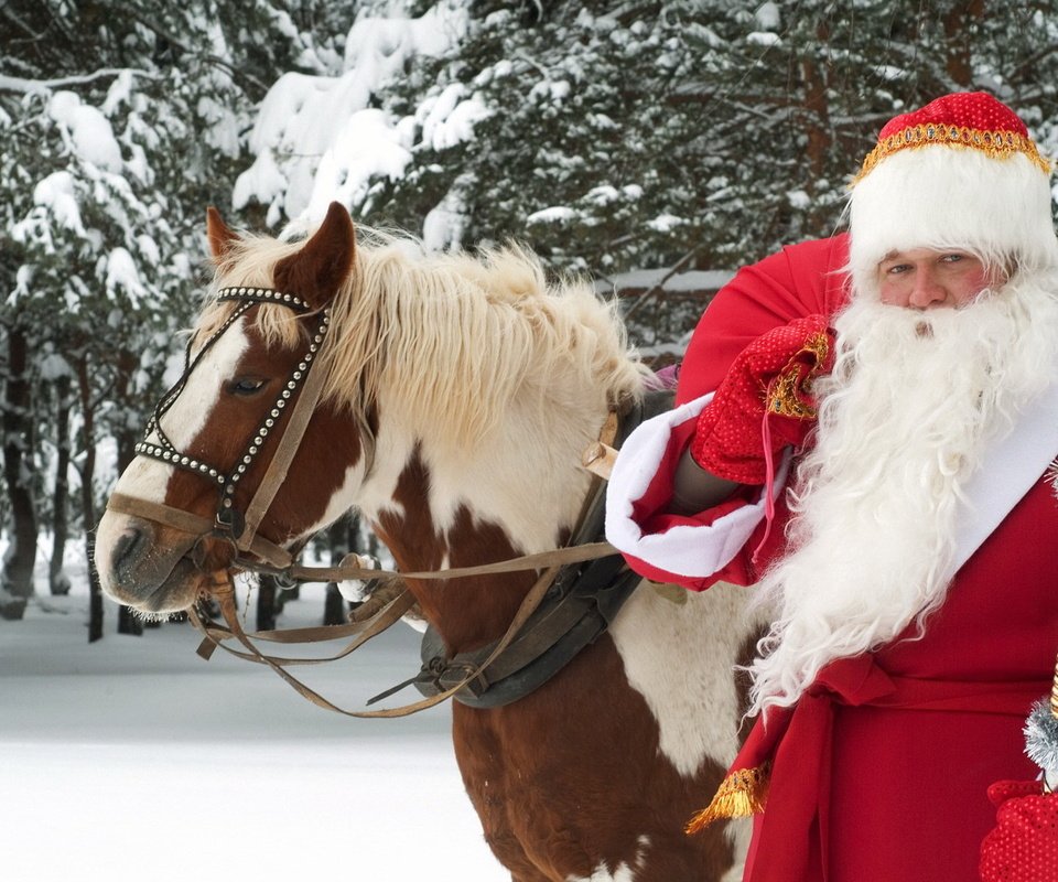 Обои лошадь, новый год, лес, зима, дед мороз, праздник, великий устюг, horse, new year, forest, winter, santa claus, holiday, veliky ustyug разрешение 1920x1200 Загрузить