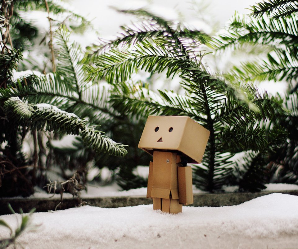 Обои снег, зима, ветви, елки, данбо, snow, winter, branch, tree, danbo разрешение 1920x1200 Загрузить