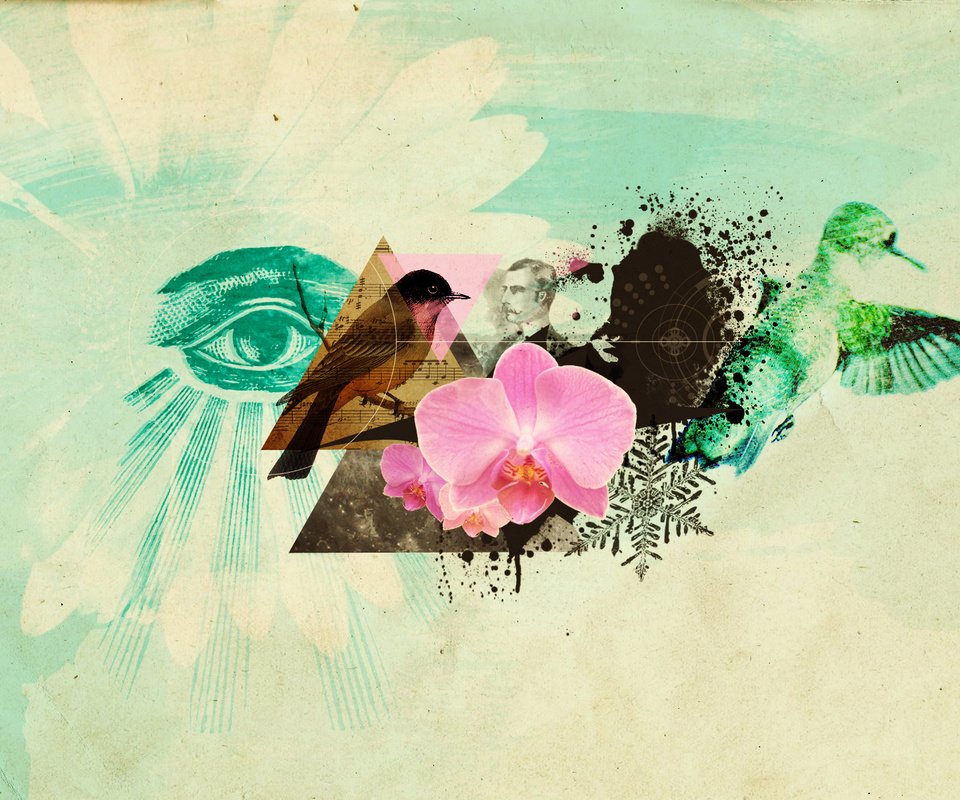 Обои абрстракция, цветок, птицы, глаз, коллаж, abstractia, flower, birds, eyes, collage разрешение 1920x1200 Загрузить