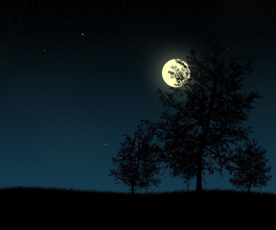 Обои ночь, деревья, вектор, луна, night, trees, vector, the moon разрешение 1920x1200 Загрузить