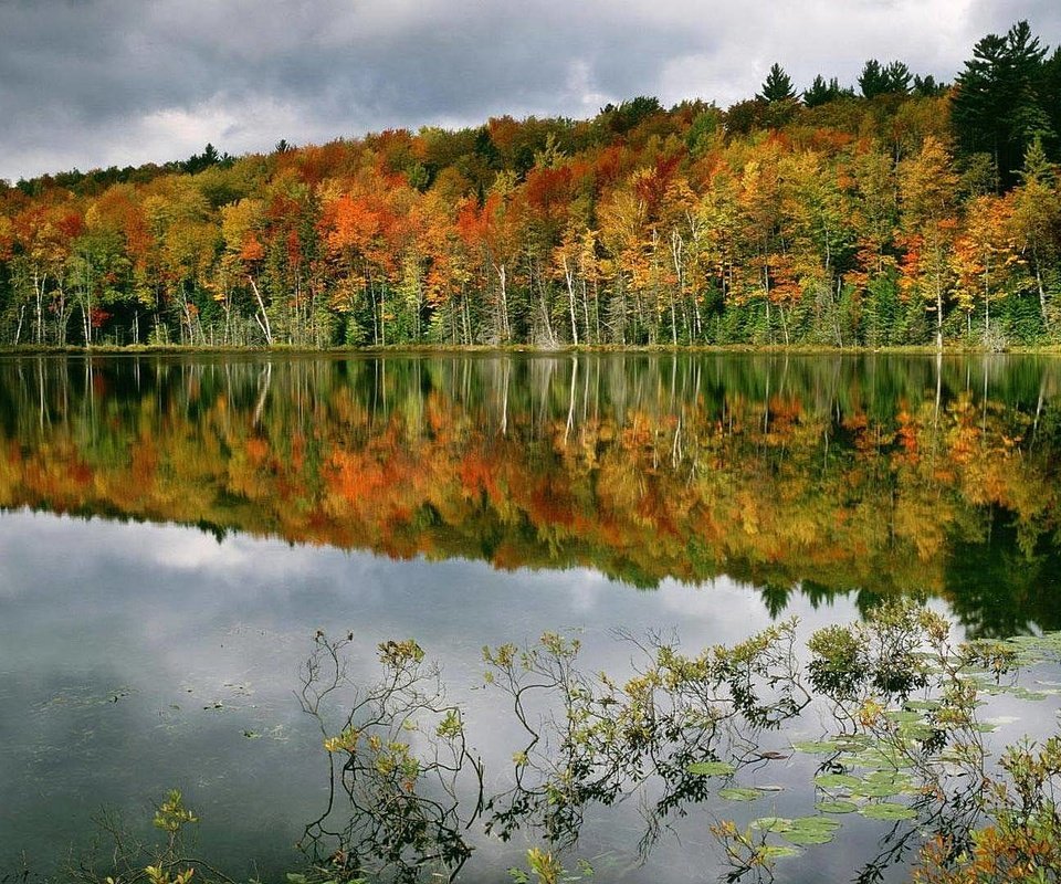 Обои деревья, вода, озеро, лес, отражение, осень, trees, water, lake, forest, reflection, autumn разрешение 1920x1080 Загрузить