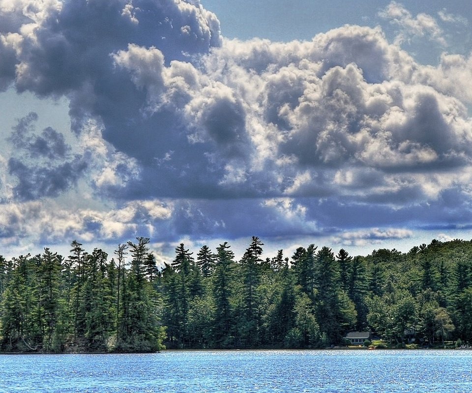 Обои небо, облака, река, лес, ель, the sky, clouds, river, forest, spruce разрешение 1920x1080 Загрузить