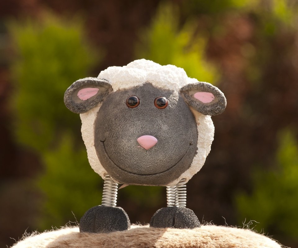 Обои фото, улыбка, игрушка, овечка, photo, smile, toy, sheep разрешение 2560x1600 Загрузить