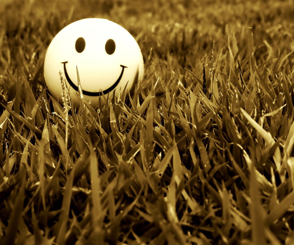 Обои трава, настроение, улыбка, смайл, grass, mood, smile разрешение 2048x1536 Загрузить