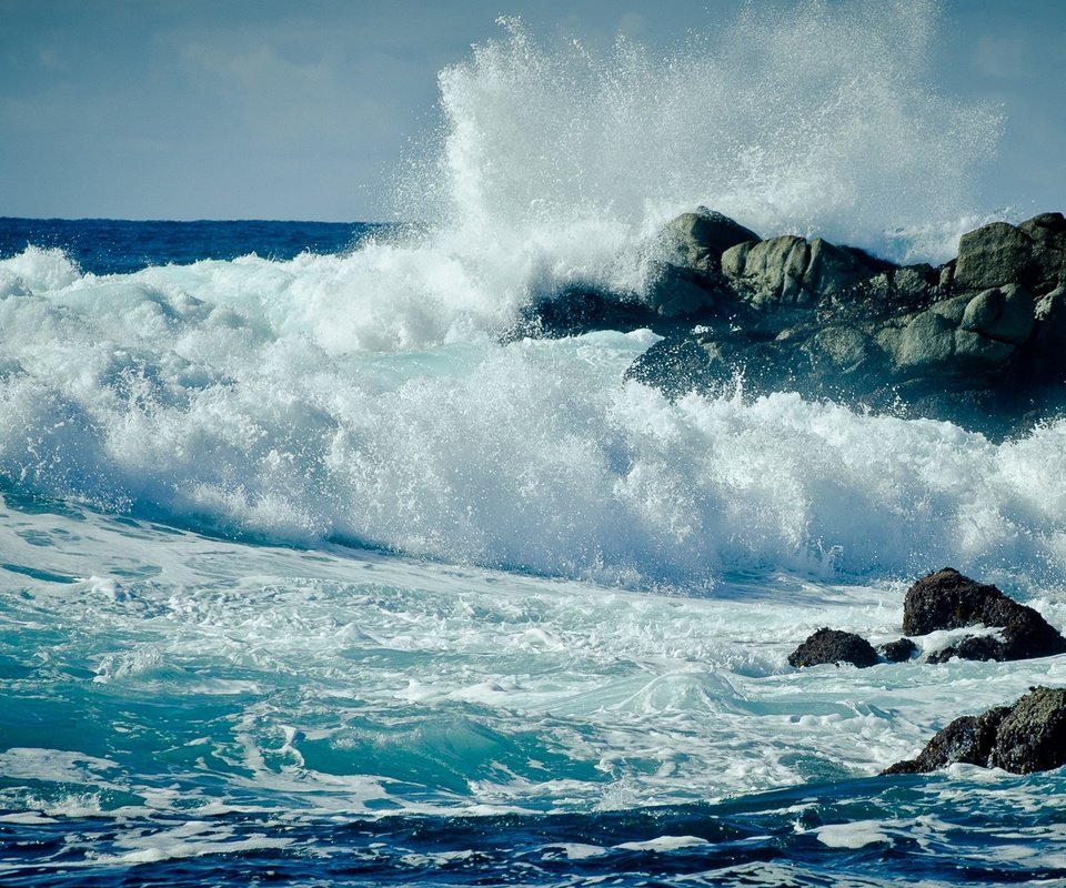 Обои вода, шторм, скалы, пена, природа, волны, море, брызги, океан, сша, water, storm, rocks, foam, nature, wave, sea, squirt, the ocean, usa разрешение 1920x1080 Загрузить