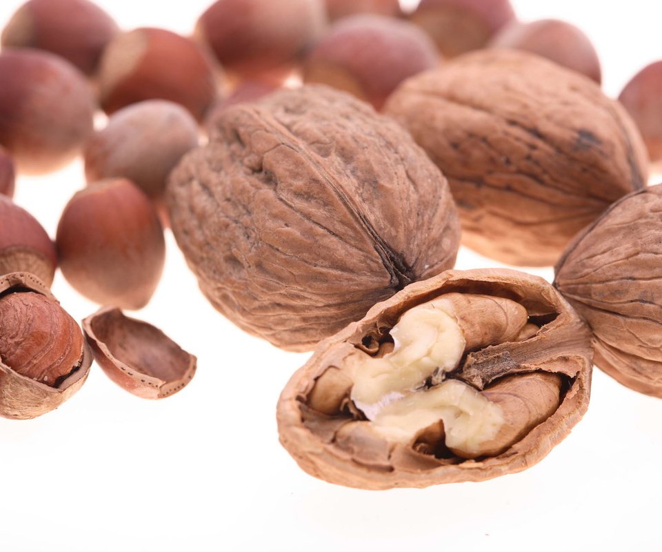 Обои орехи, белый фон, фундук, скорлупа, грецкие, грецкие орехи, ядра, nuts, white background, hazelnuts, shell, walnut, walnuts, kernel разрешение 1920x1280 Загрузить
