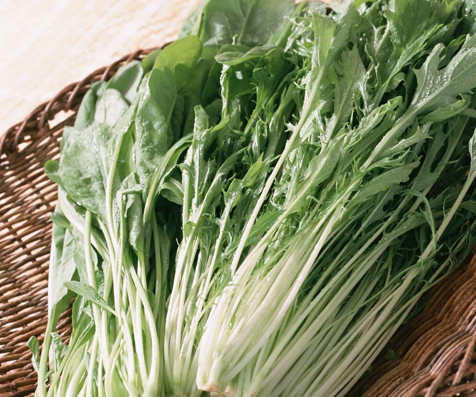 Обои зелень, овощи, японская капуста, мизуна, greens, vegetables разрешение 1920x2705 Загрузить