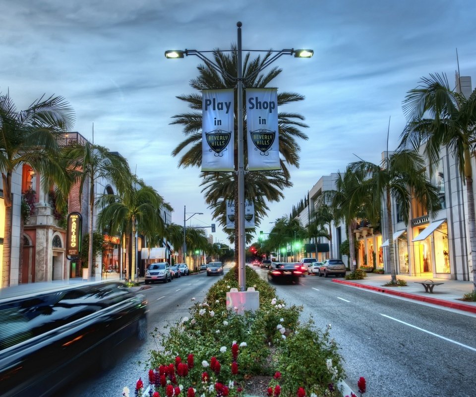 Обои дорога, пальмы, улица, калифорния, road, palm trees, street, ca разрешение 2560x1600 Загрузить