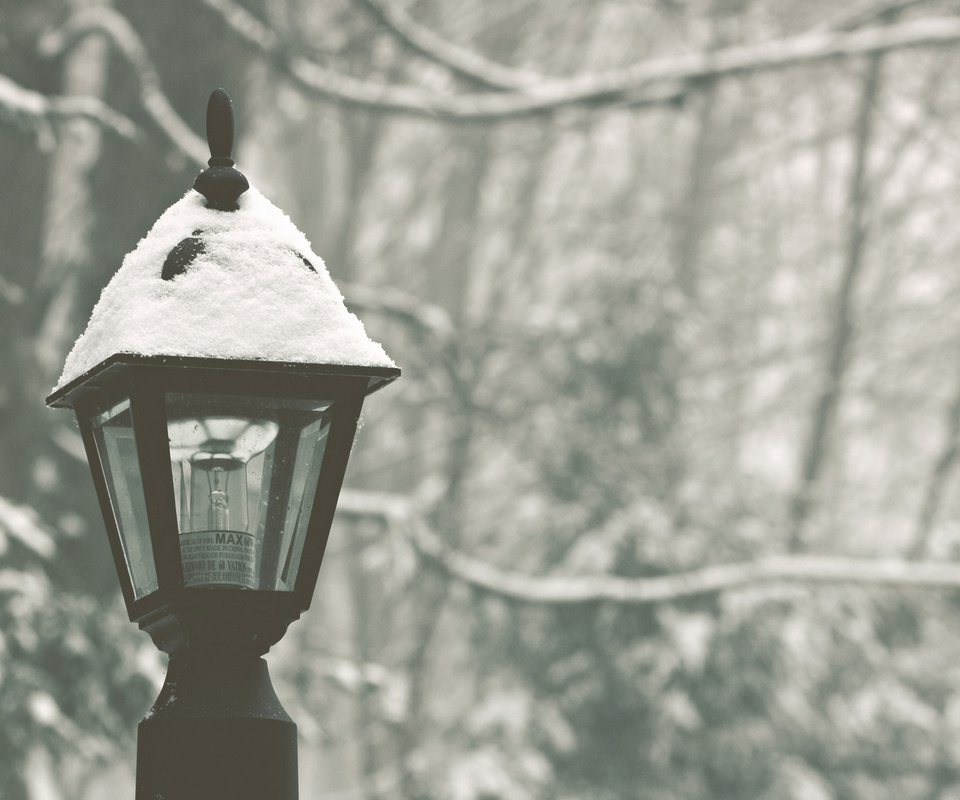 Обои снег, лес, зима, парк, фонарь, snow, forest, winter, park, lantern разрешение 1920x1200 Загрузить