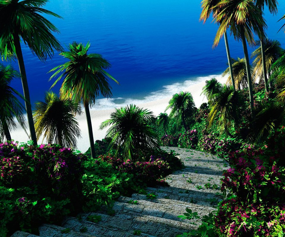 Обои цветы, пляж, пальмы, тропики, flowers, beach, palm trees, tropics разрешение 1920x1080 Загрузить