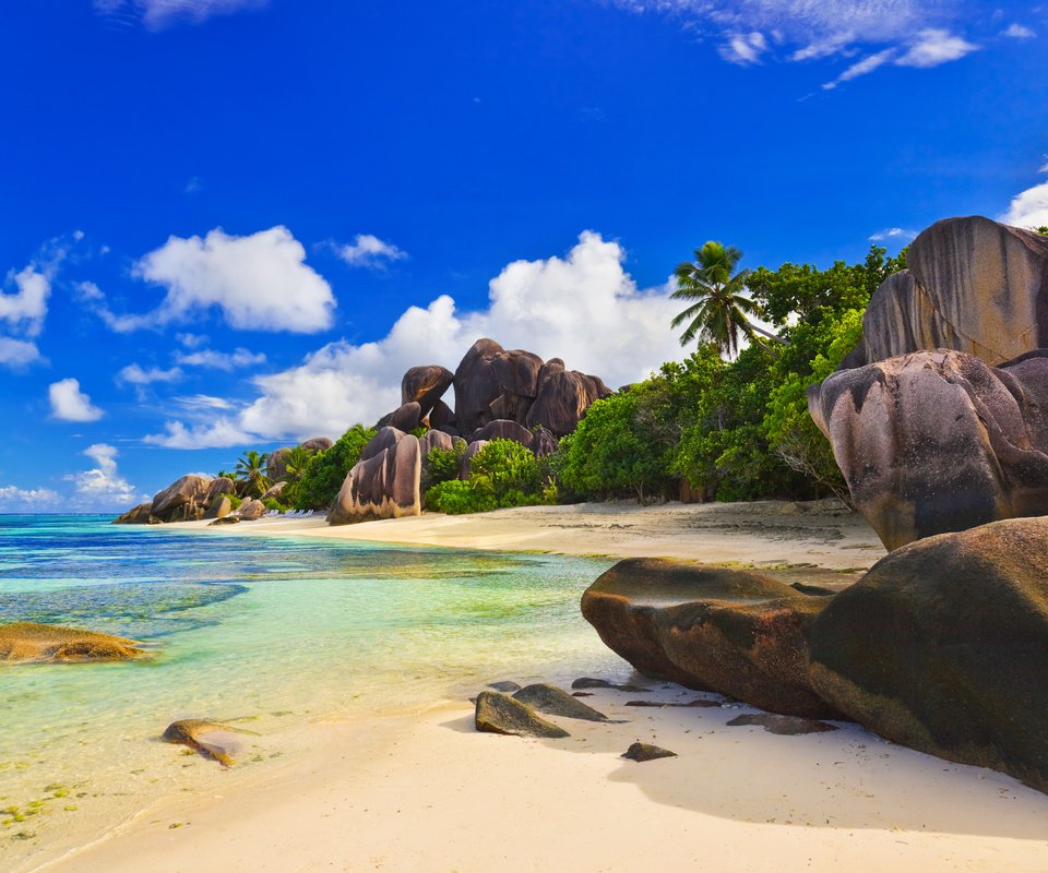 Обои камни, пляж, пальмы, сейшелы, stones, beach, palm trees, seychelles разрешение 4246x2827 Загрузить