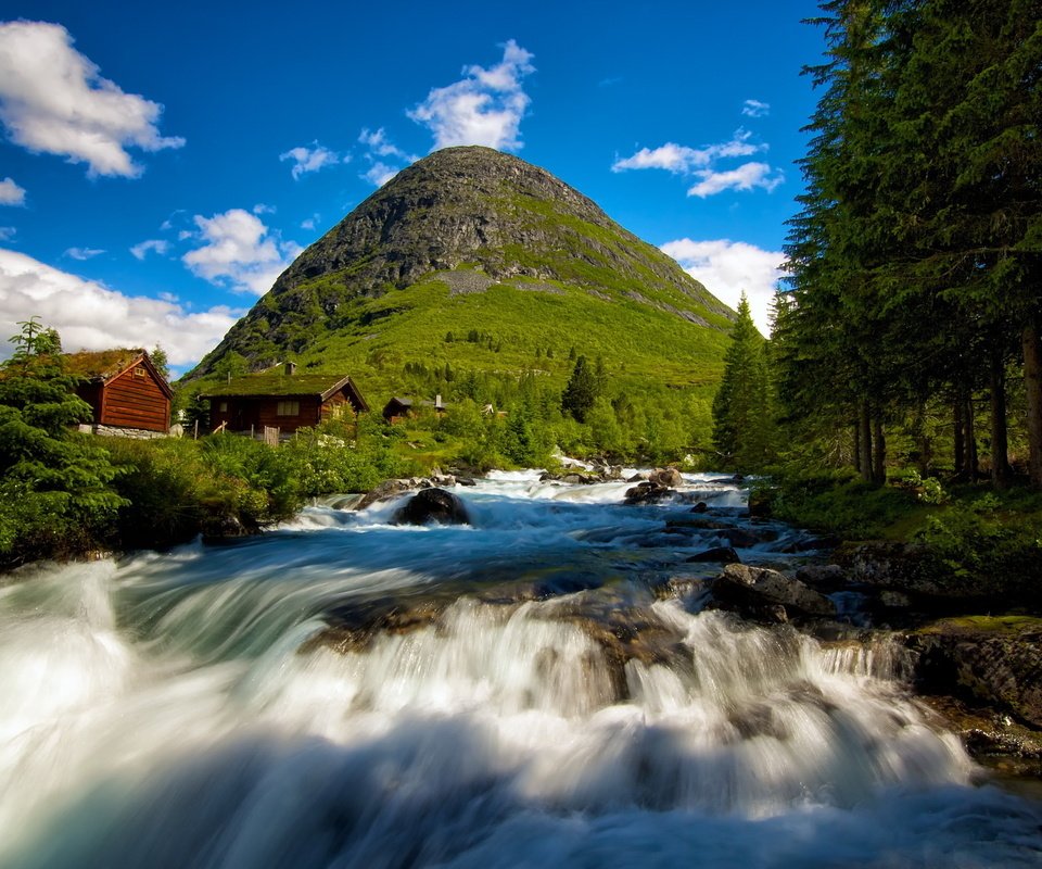 Обои деревья, река, лес, пейзаж, гора, поток, норвегия, trees, river, forest, landscape, mountain, stream, norway разрешение 2560x1600 Загрузить