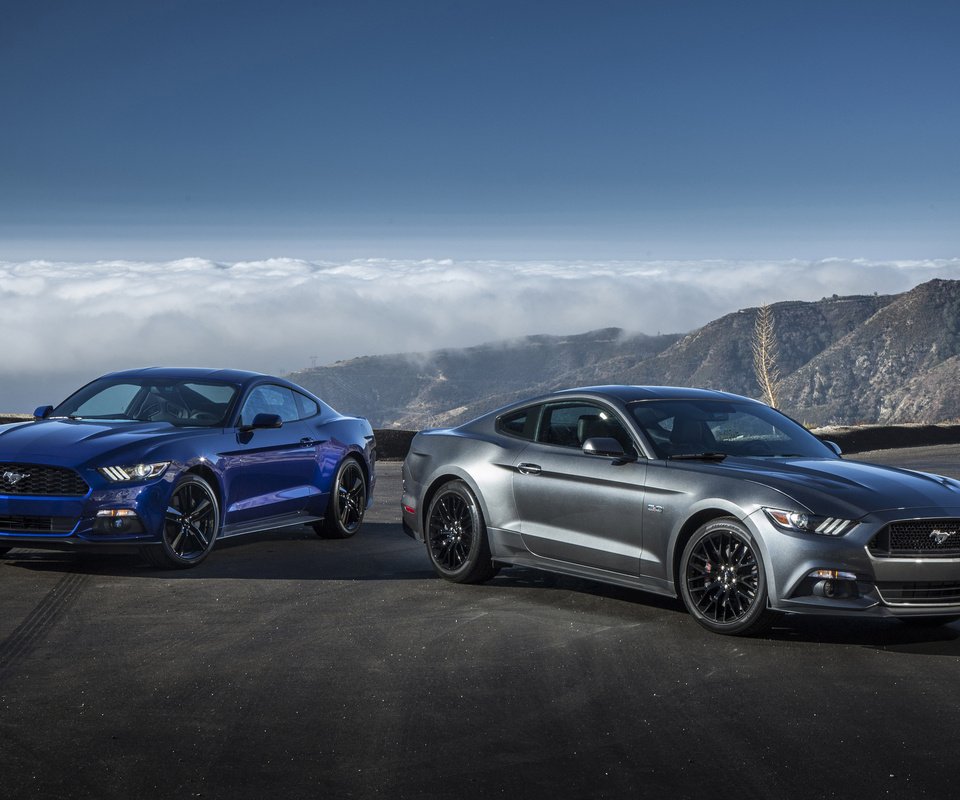 Обои мустанг, форд, ecoboost, 2015 год, гт, фон.jpg, mustang, ford, 2015, gt разрешение 2560x1600 Загрузить