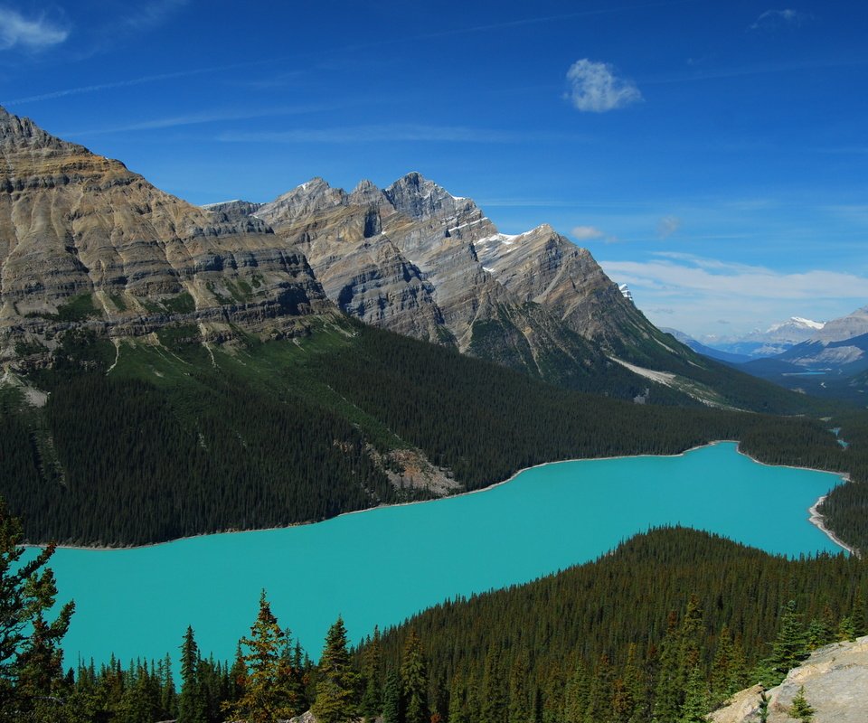 Обои озеро, горы, лес, пейзаж, канада, национальный парк банф, peyto lake, пейто, lake, mountains, forest, landscape, canada, banff national park, peyto разрешение 2560x1600 Загрузить