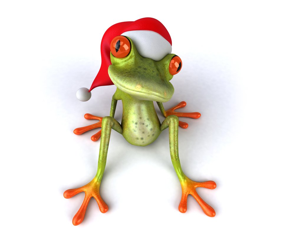 Обои глаза, лягушка, шапка, праздник, eyes, frog, hat, holiday разрешение 6000x4000 Загрузить