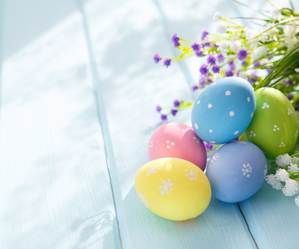 Обои цветы, весна, пасха, яйца, праздник, flowers, spring, easter, eggs, holiday разрешение 6530x4353 Загрузить