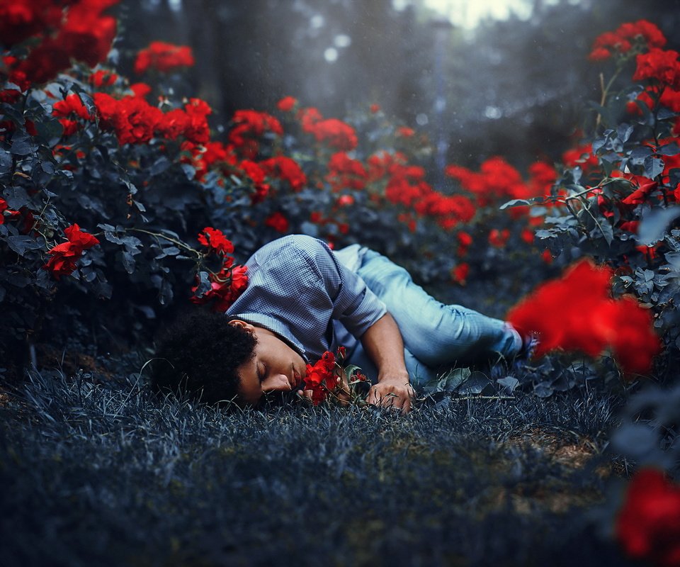 Обои цветы, фон, парень, сон, человек, мужчина, спящий, flowers, background, guy, sleep, people, male разрешение 2048x1365 Загрузить