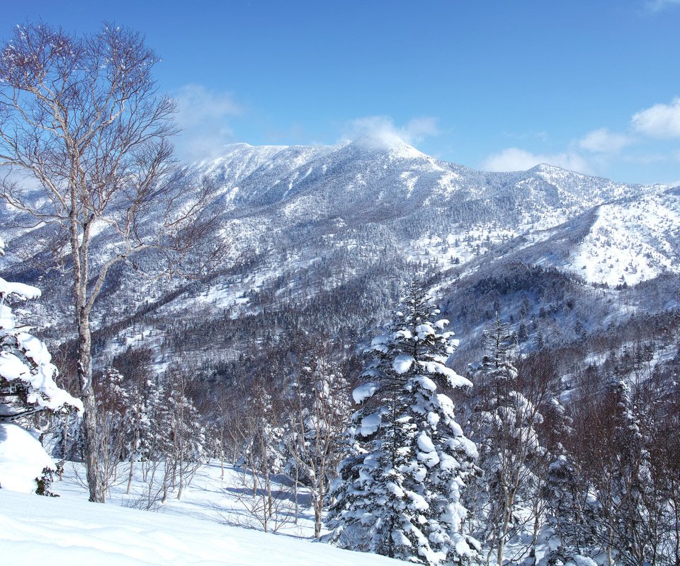 Обои небо, деревья, горы, снег, зима, пейзаж, склон, the sky, trees, mountains, snow, winter, landscape, slope разрешение 2048x1365 Загрузить