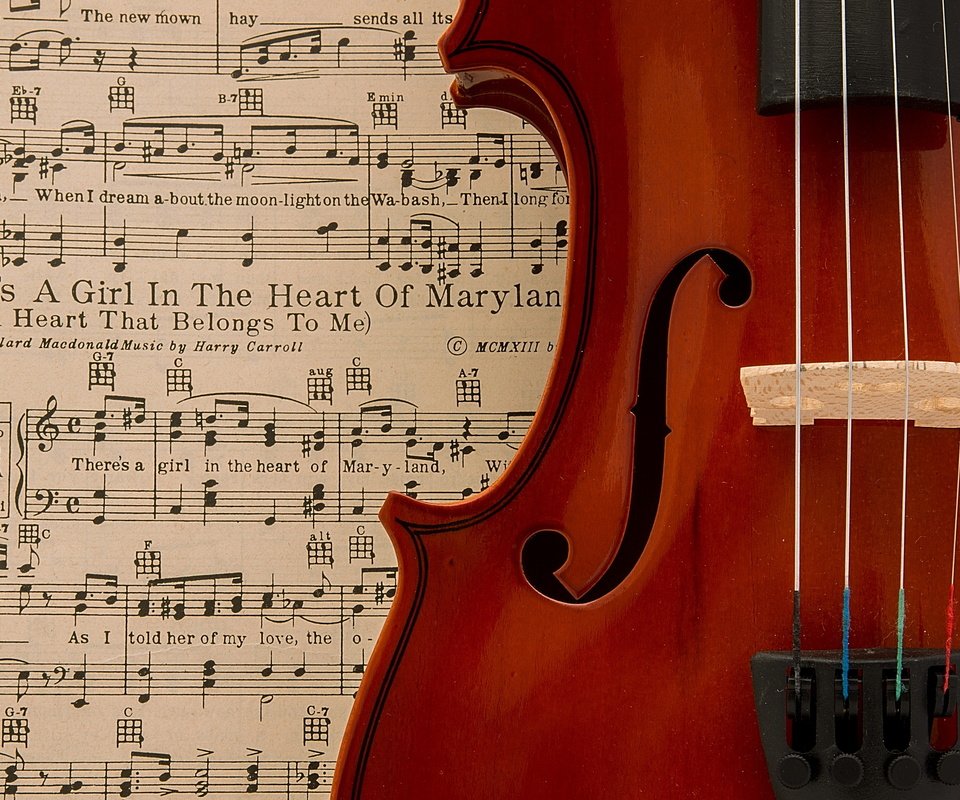 Обои ноты, скрипка, музыка, notes, violin, music разрешение 2560x1707 Загрузить