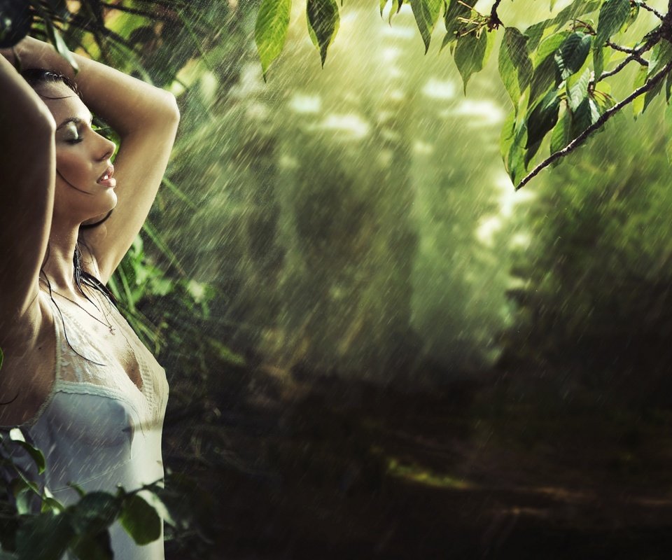 Обои лес, девушка, модель, дождь, мокрая, forest, girl, model, rain, wet разрешение 2880x1888 Загрузить