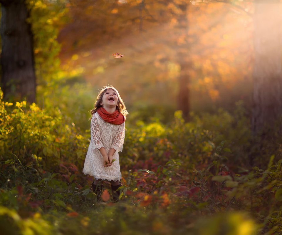 Обои лес, осень, девочка, лист, смех, forest, autumn, girl, sheet, laughter разрешение 2048x1455 Загрузить