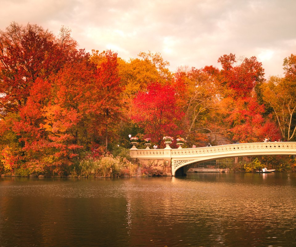 Обои деревья, центральный парк, листья, bow bridge, люди, осень, лодка, зеркало, нью-йорк, соединённые штаты, trees, central park, leaves, people, autumn, boat, mirror, new york, united states разрешение 2248x1499 Загрузить