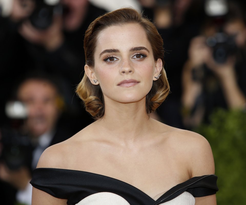 Обои модель, актриса, эмма уотсон, фотосессия, met gala 2016, model, actress, emma watson, photoshoot разрешение 3500x2429 Загрузить