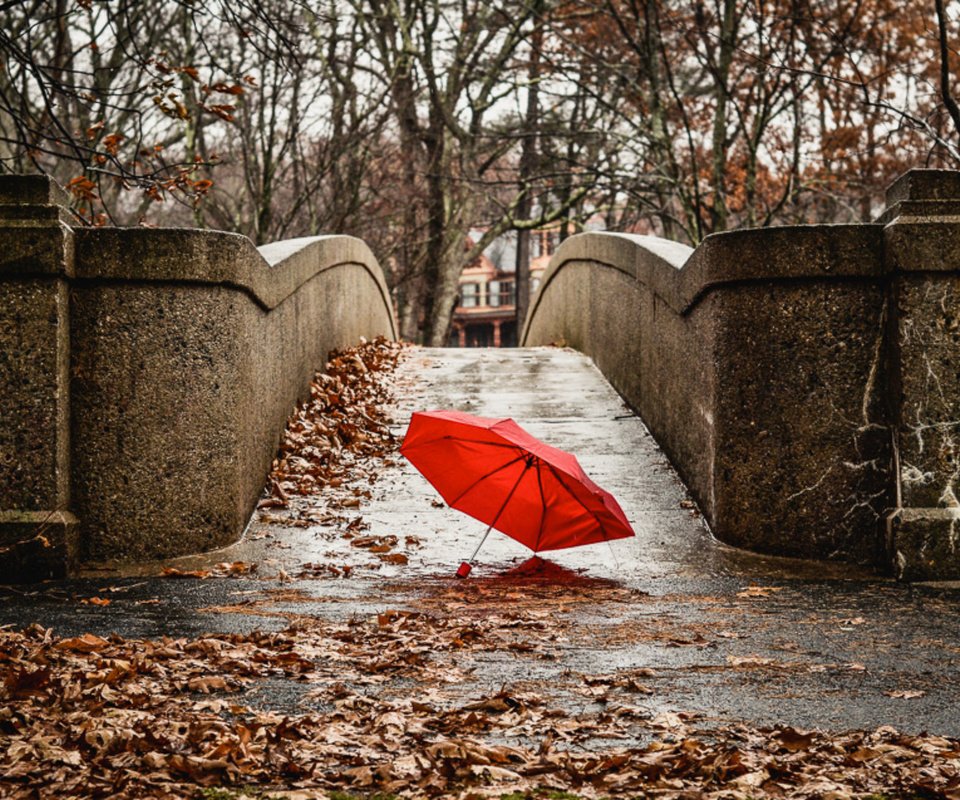 Обои мост, город, осень, красный, зонтик, bridge, the city, autumn, red, umbrella разрешение 2048x1305 Загрузить