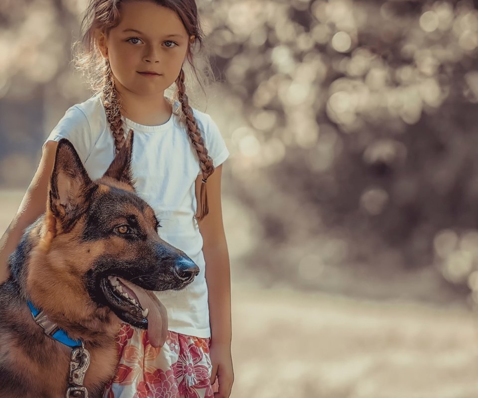 Обои собака, девочка, ребенок, друзья, немецкая овчарка, dog, girl, child, friends, german shepherd разрешение 1920x1200 Загрузить