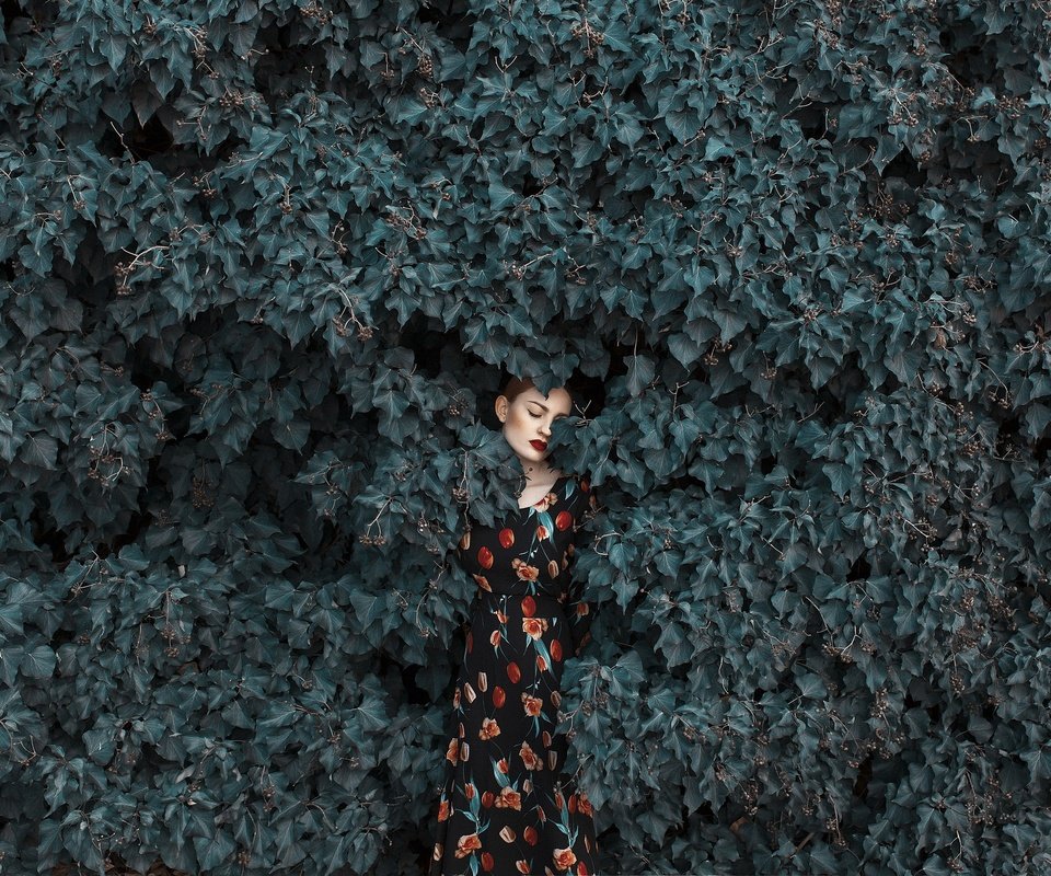 Обои девушка, платье, листва, лицо, girl, dress, foliage, face разрешение 2048x1365 Загрузить