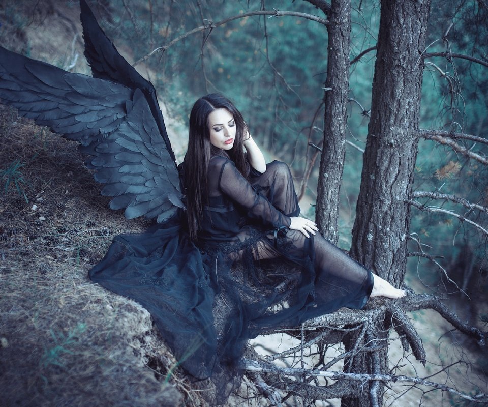 Обои лес, девушка, крылья, ангел, черные крылья, forest, girl, wings, angel, black wings разрешение 5616x3744 Загрузить