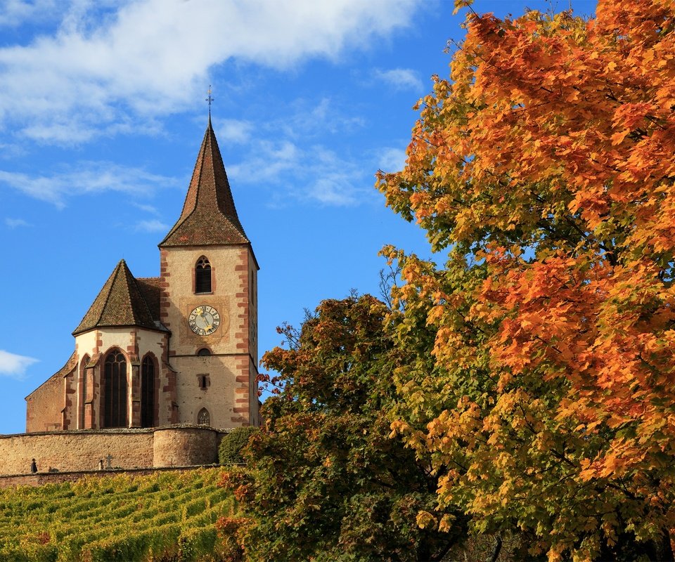 Обои деревья, осень, церковь, франция, hunawihr, church saint-jacques-le-majeur, церковь сен-жак-ле-мажёр, юнавир, trees, autumn, church, france, church of saint-jacques-le-mazher, the hunawihr разрешение 2500x1581 Загрузить