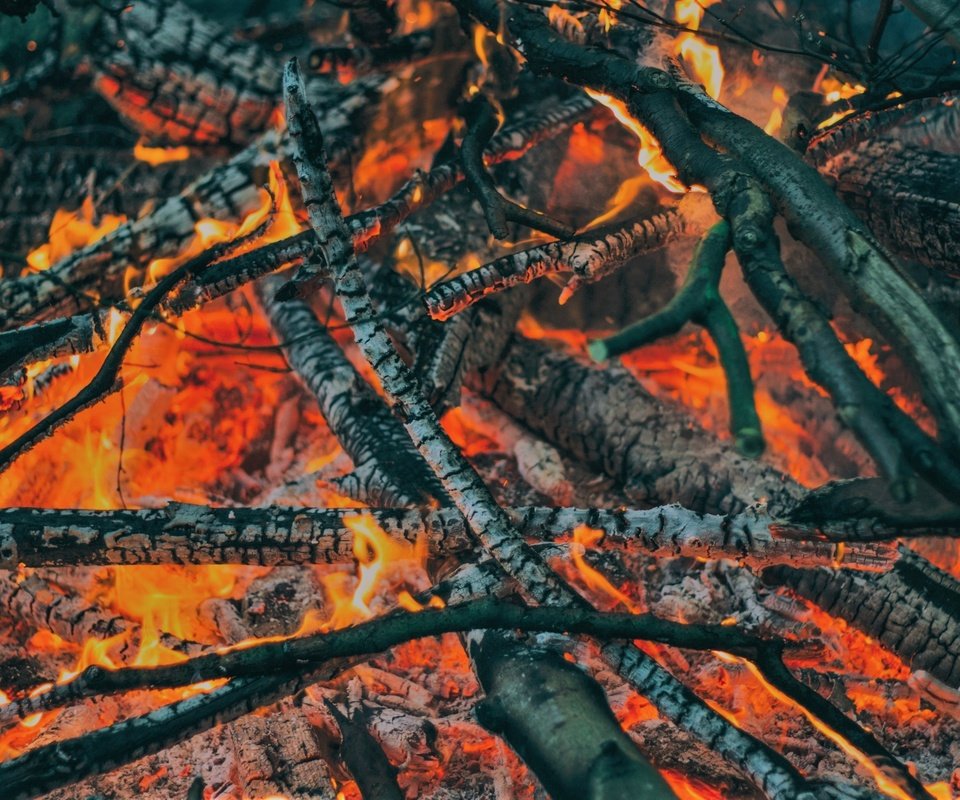 Обои пламя, огонь, угли, костёр, дрова, flame, fire, coal, the fire, wood разрешение 2560x1707 Загрузить