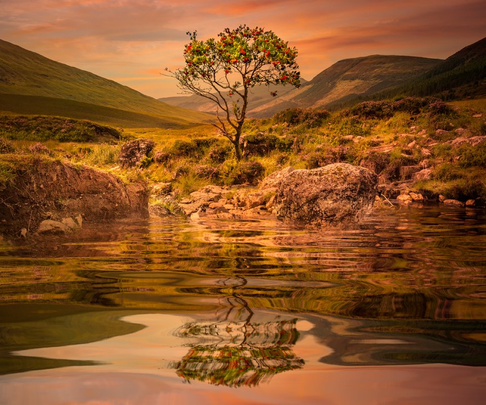 Обои вода, озеро, горы, дерево, закат, отражение, рябина, sophiaspurgin, water, lake, mountains, tree, sunset, reflection, rowan разрешение 4470x4470 Загрузить