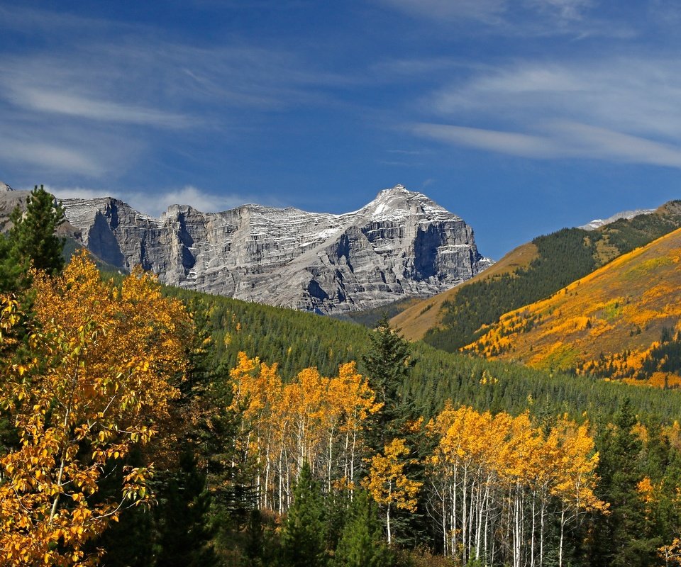 Обои деревья, горы, осень, канада, альберта, кананаскис, trees, mountains, autumn, canada, albert, kananaskis разрешение 2048x1365 Загрузить