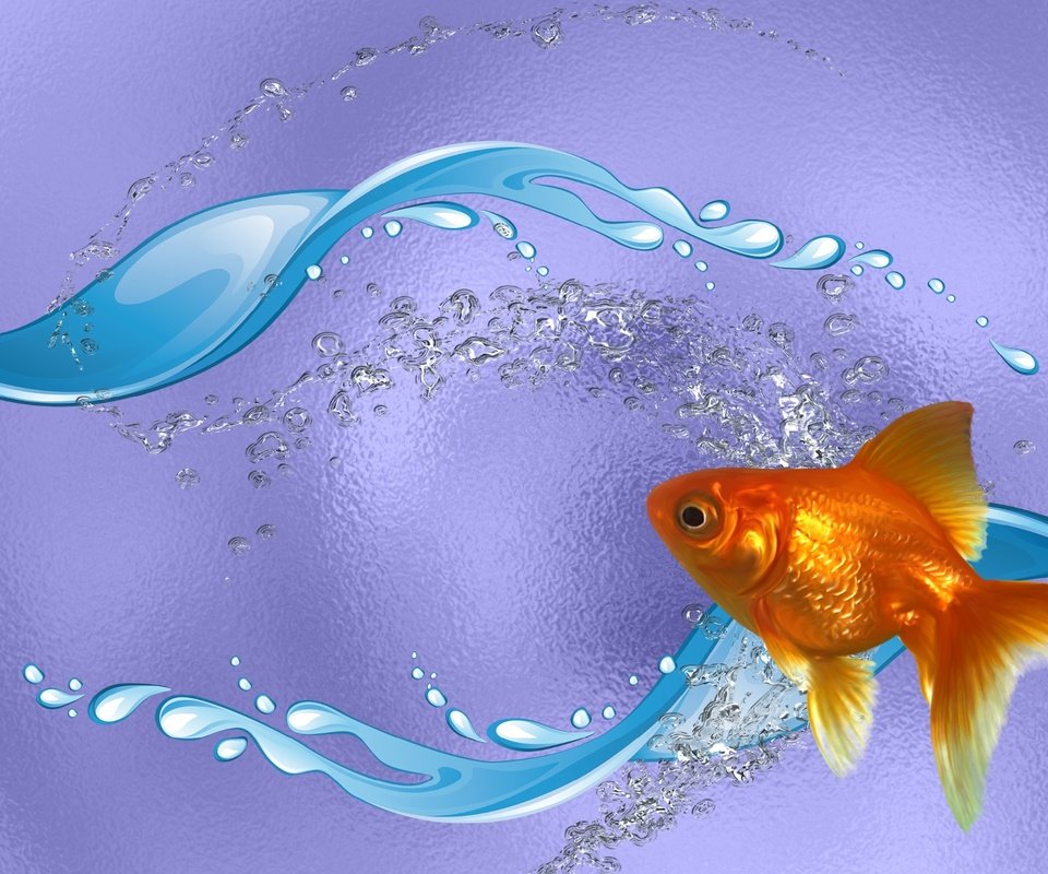 Обои вода, золотая рыбка, рыба, ааа, еееее, water, goldfish, fish разрешение 1920x1080 Загрузить