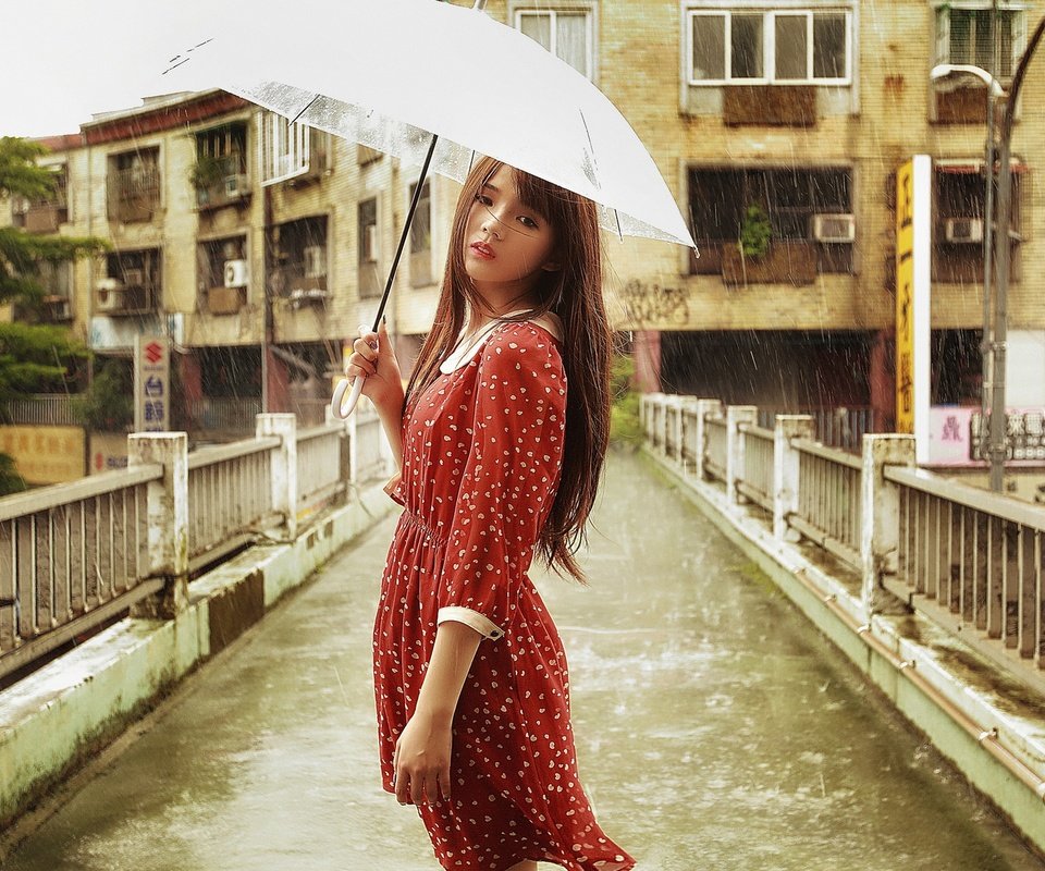 Обои девушка, брюнетка, мост, дождь, зонт, азиатка, girl, brunette, bridge, rain, umbrella, asian разрешение 1920x1200 Загрузить