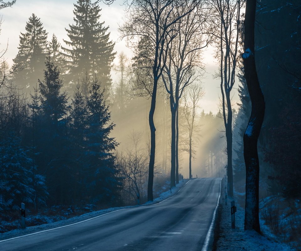 Обои дорога, деревья, лес, утро, туман, road, trees, forest, morning, fog разрешение 1920x1207 Загрузить
