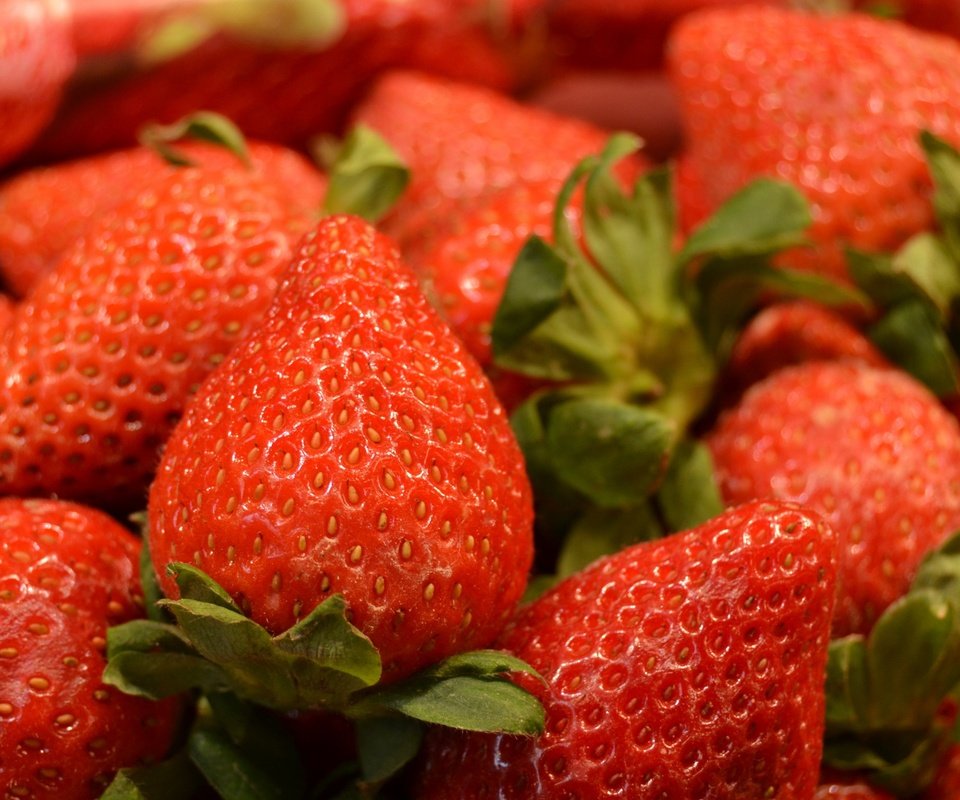 Обои клубника, ягоды, много, вкусно, strawberry, berries, a lot, delicious разрешение 2560x1600 Загрузить
