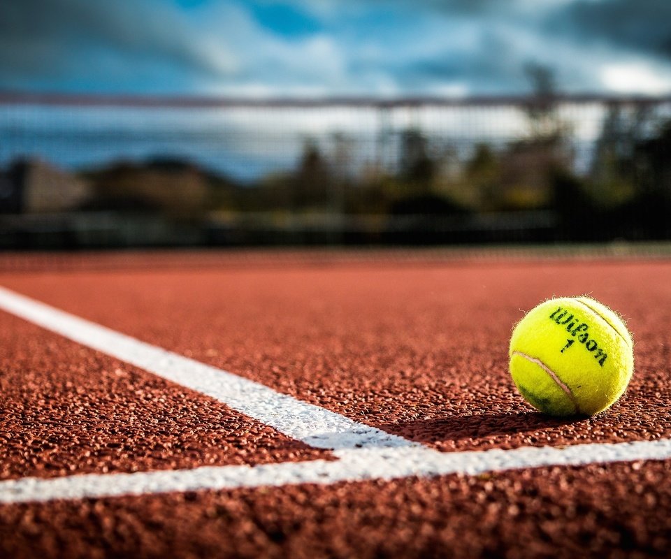 Обои спорт, мяч, теннис, теннисный мяч, sport, the ball, tennis, tennis ball разрешение 2048x1257 Загрузить