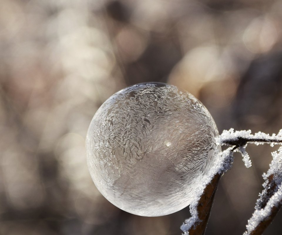 Обои зима, настроение, мороз, иней, пузырь, мыльный пузырь, winter, mood, frost, bubble разрешение 1920x1312 Загрузить